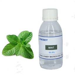 Menthol Flavor Supplier - Hot Sale Concentrate Mint Popular in Malaysia