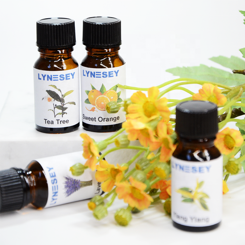 Fragrance Oil Manufacturer - Wood Sage Sea Salt for Scented Candle Making