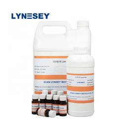 Perfume Oil Factory - Hot Sale Concentrate Fragrance for Body Perfume