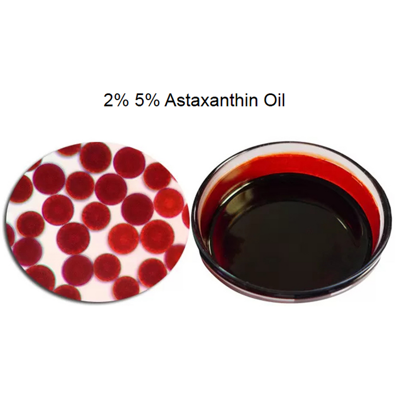 Astaxanthin Oil Factory - Cosmetic Grade 5% 10% Anti-Oxidant Best Price