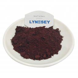 Radish Red Powder Factory - Food Grade Red Pigment for Soft Candy