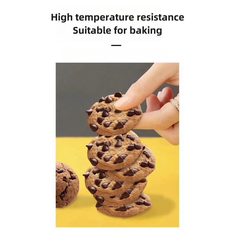 Chocolate Beans Supplier - Factory Direct Sale Roasted Beans Discounted Price