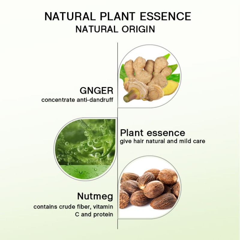 Ginger Conditioner Manufacturer - Wholesale Organic Herbal Anti-Hair Loss