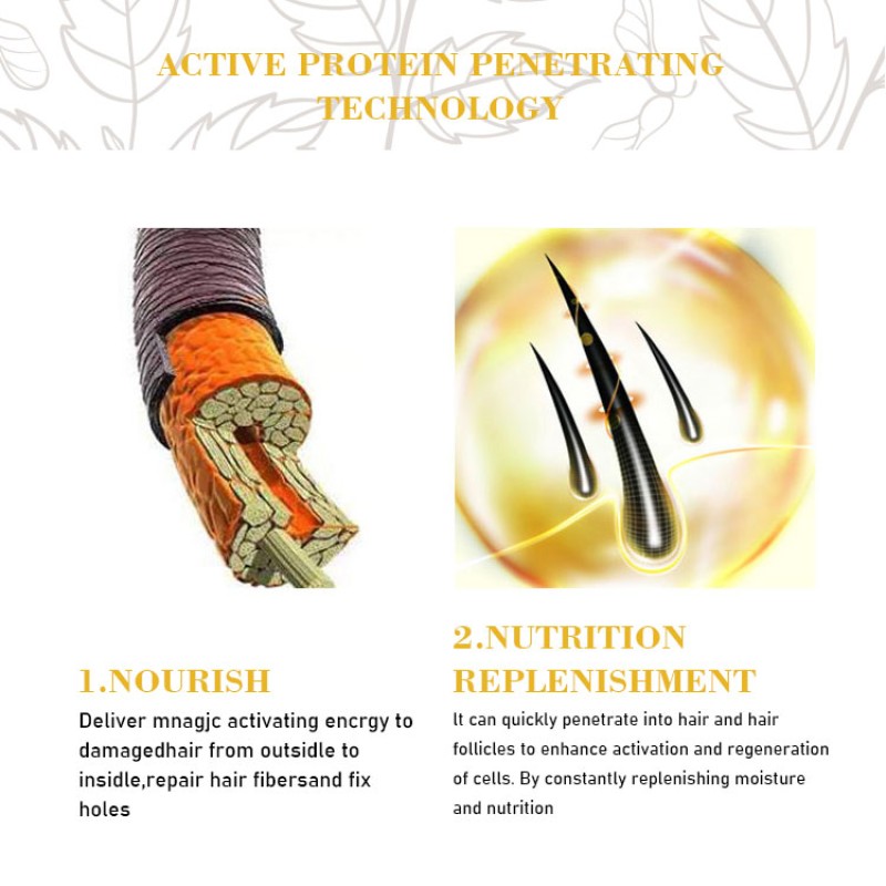 Shampoo Set Supplier - Custom Collagen Biotin Sulfate Free Growth