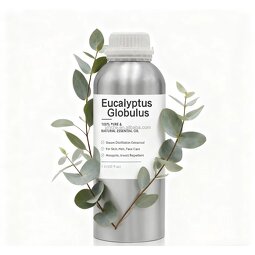 Eucalyptus Globulus Oil Manufacturer - 100% Pure Non-alcoholic for Toothpaste Mouthwash