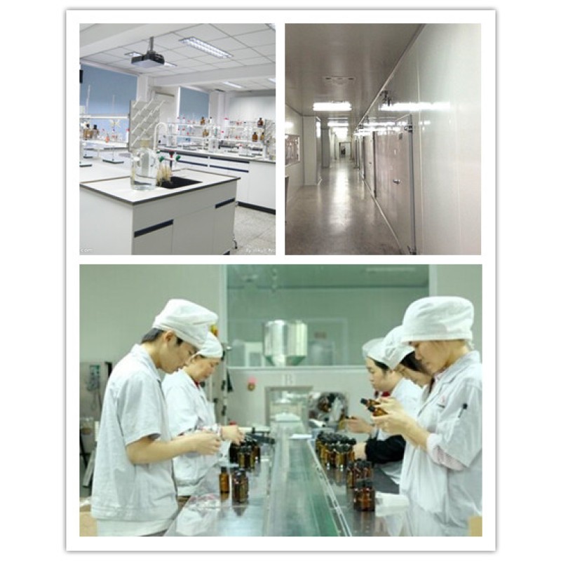 Flaxseed Oil Manufacturer - China Manufacturer Wholesale Bulk 100% Natural for Skin Health