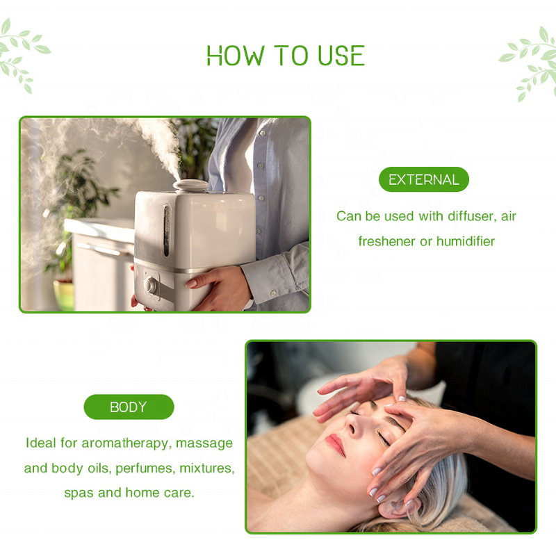 Peppermint Oil Manufacturer - Plant Extract for Body Care Oral Care Free Sample