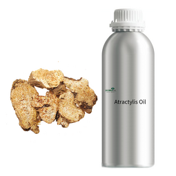 Atractylodes Lancea Oil Manufacturer - Wholesale Pure Natural Herbal Extract