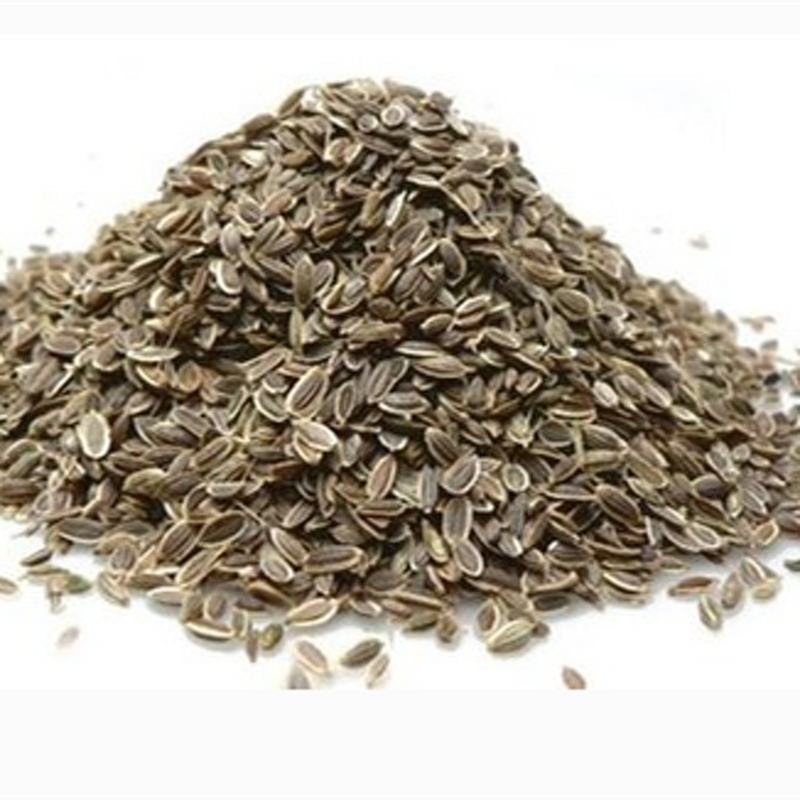Dill Seed Essential Oil Manufacturer - Premium 100% Natural Therapeutic Grade for Aromatherapy