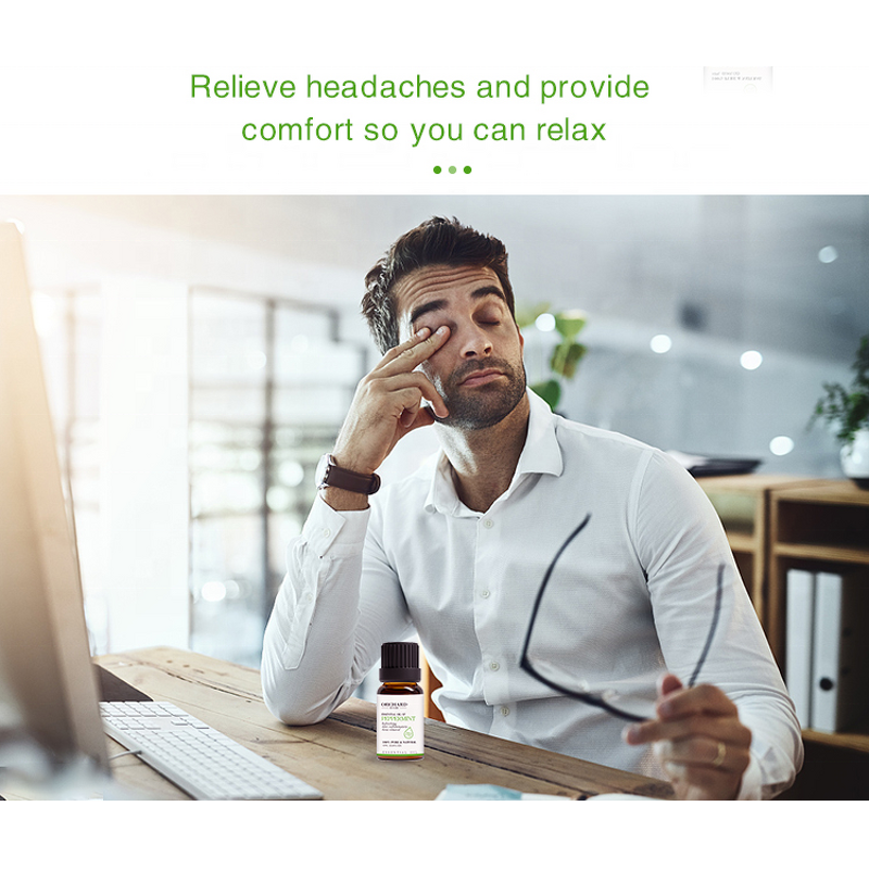 Peppermint Oil Manufacturer - Plant Extract for Body Care Oral Care Free Sample