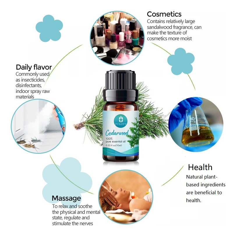 Cedar Essential Oil Manufacturer - 100% Natural Premium Wood for Soothe Mind Skin Aromatherapy