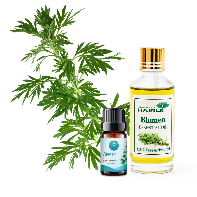 Wormwood Essential Oil Manufacturer - Pure Natural Bulk Price Essential Oil