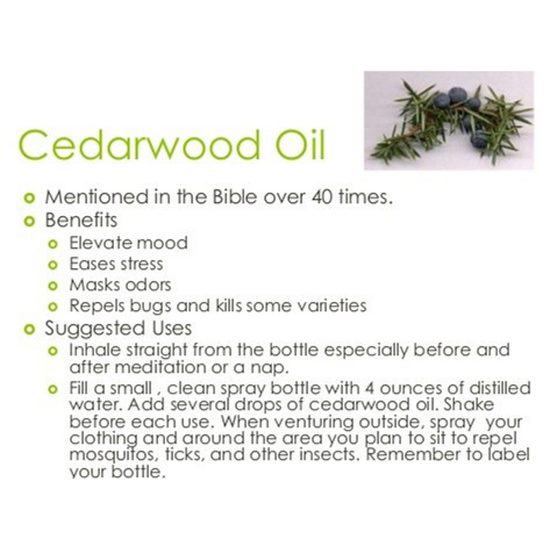 Cedarwood Oil Manufacturer - Factory Offers High Quality for Aromatherapy Making Spice