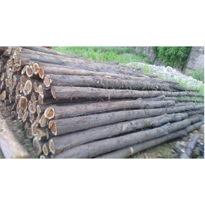 Cedarwood Oil Manufacturer - Factory Offers High Quality for Aromatherapy Making Spice