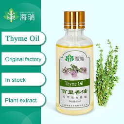 Thyme Essential Oil Manufacturer - Bulk Seller Steam Distillation Natural Oil