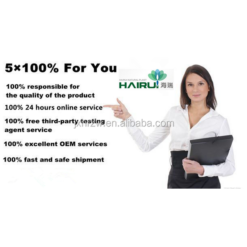 Eucalyptus Globulus Oil Manufacturer - 100% Pure Non-alcoholic for Toothpaste Mouthwash