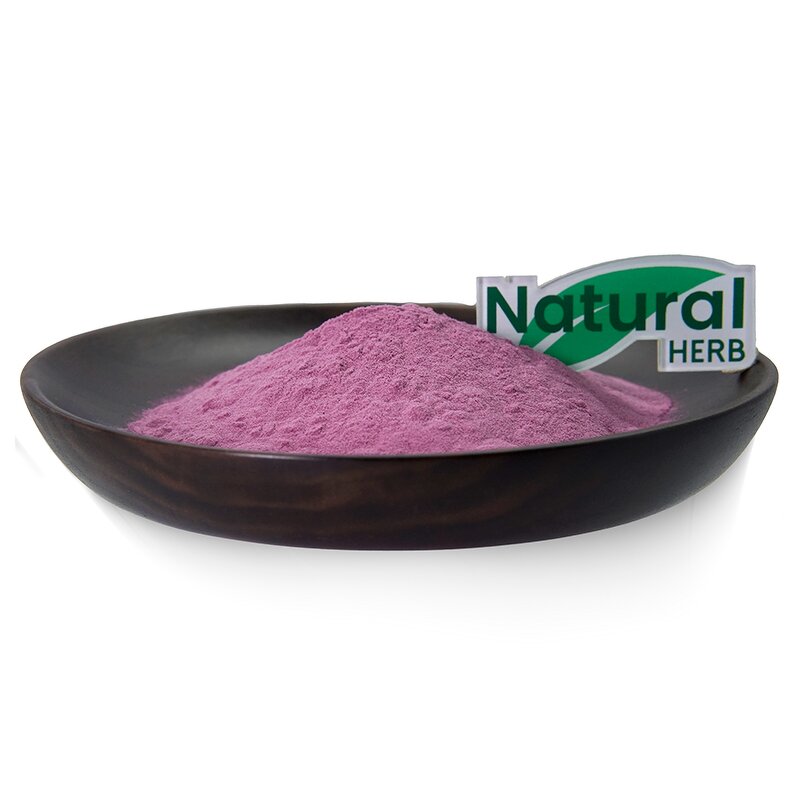 Blueberry Powder Manufacturer - Pure Blueberry Fruit Natural Food Grade