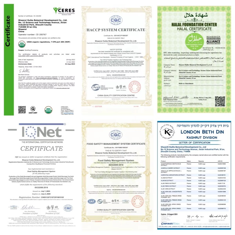 Hydrogenated Lecithin Manufacturer - High Quality Food Grade Soybean Extract Powder