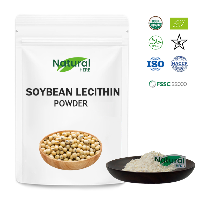 Hydrogenated Lecithin Manufacturer - High Quality Food Grade Soybean Extract Powder