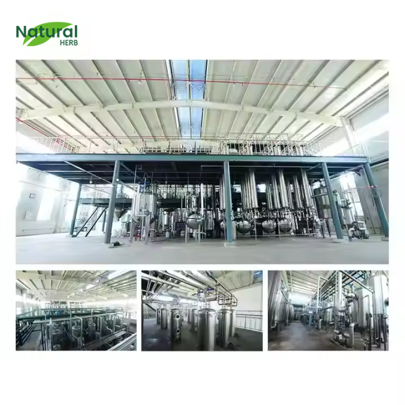 Magnesium Citrate Powder Supplier - High Quality Food Grade 99% Customized