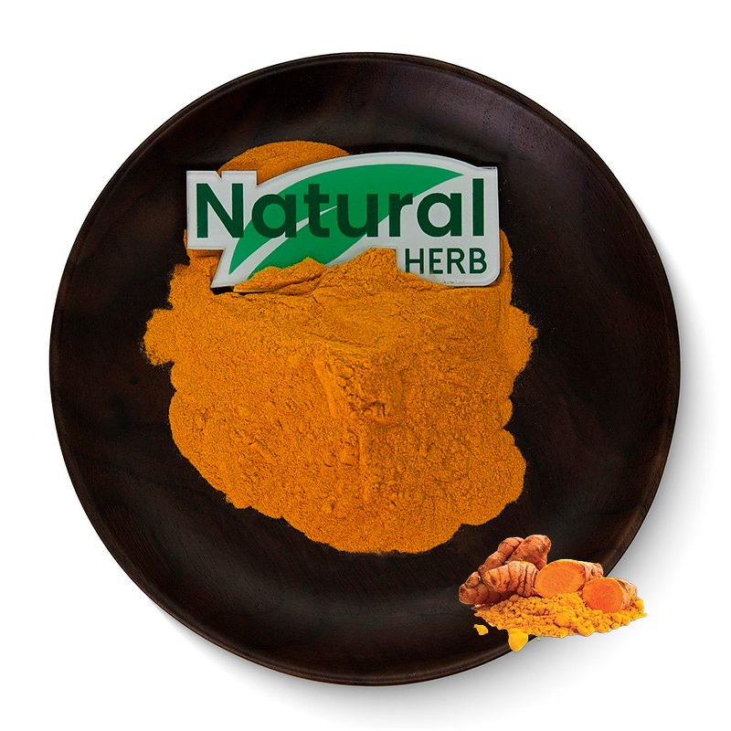 Curcumin Extract Powder Supplier - Hot Selling High Purity Nano Turmeric Root