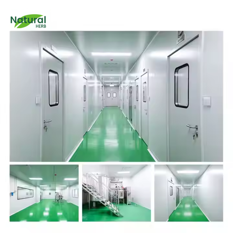 Beta-Arbutin Powder Factory - High Quality Cosmetics Raw Material Skin Whitening