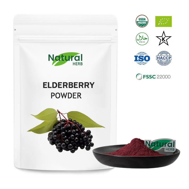 Elderberry Powder Supplier - Wholesale Black Elderberry Extract Powder Bag