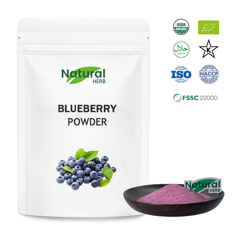 Blueberry Powder Manufacturer - Pure Blueberry Fruit Natural Food Grade