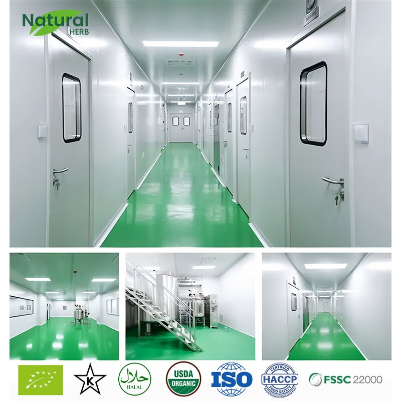 Sialic Acid Powder Supplier - High Quality N-Acetylneuraminic Acid Food Grade