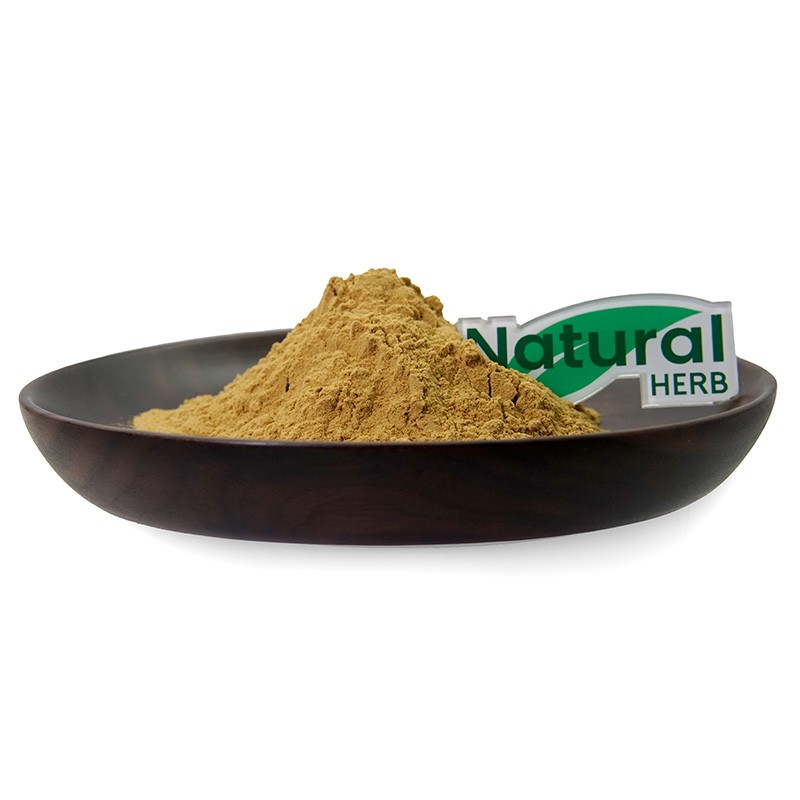 Xanthium Sibiricum Extract Manufacturer - Wholesale Natural Food Grade Wild Cultivated