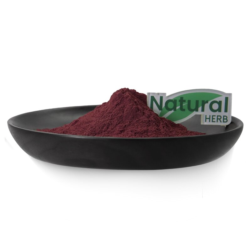 Grape Seed Extract Powder Factory - Food Grade Natural OPC Polyphenols in Drum