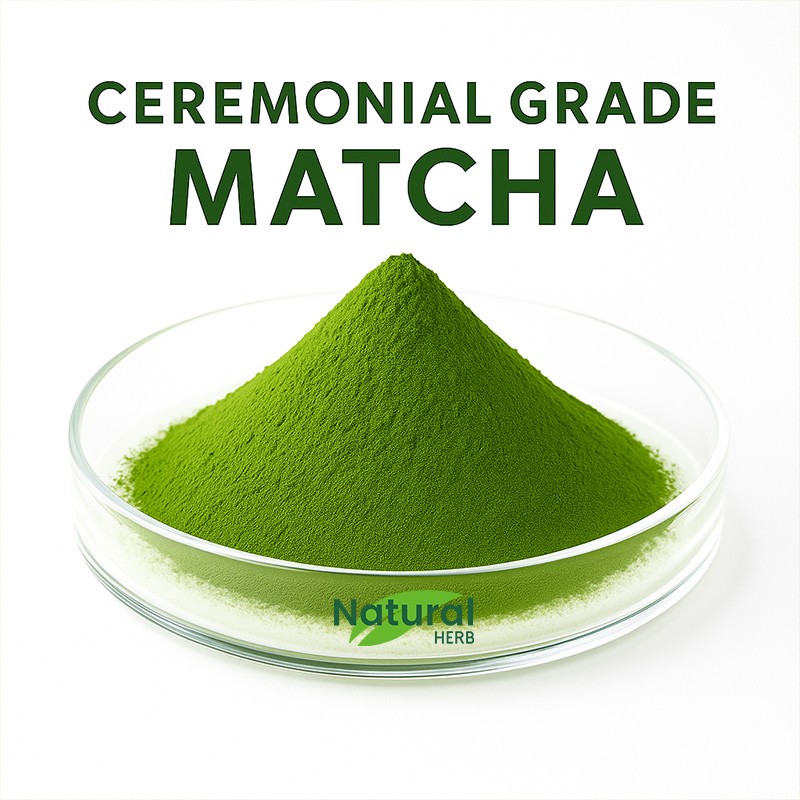 Matcha Powder Manufacturer - Hot Sale Pure Matcha Private Label