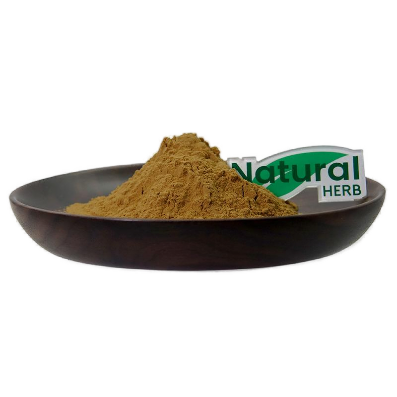 Ganoderma Extract Powder Factory - High Quality Organic Ganoderma Mushroom Extract