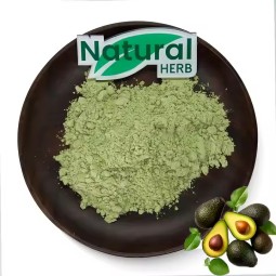 Avocado Powder Manufacturer - Hot Selling Natural Organic Food Grade