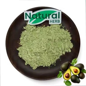 Avocado Powder Manufacturer - Hot Selling Natural Organic Food Grade
