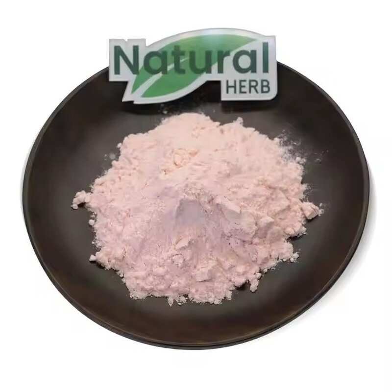 Cherry Powder Factory - High Quality Food Grade Instant Cherry Juice Powder