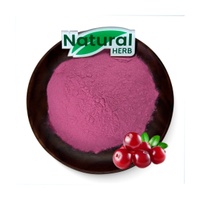 Cranberry Powder Manufacturer - Wholesale Bulk 100% Natural Concentrate Juice
