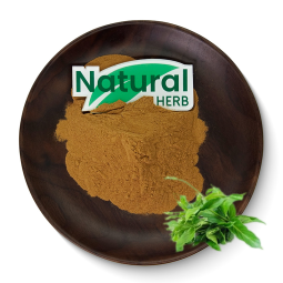 Gymnema Sylvestre Extract Manufacturer - Factory Supply High Quality Gymnemic Acid