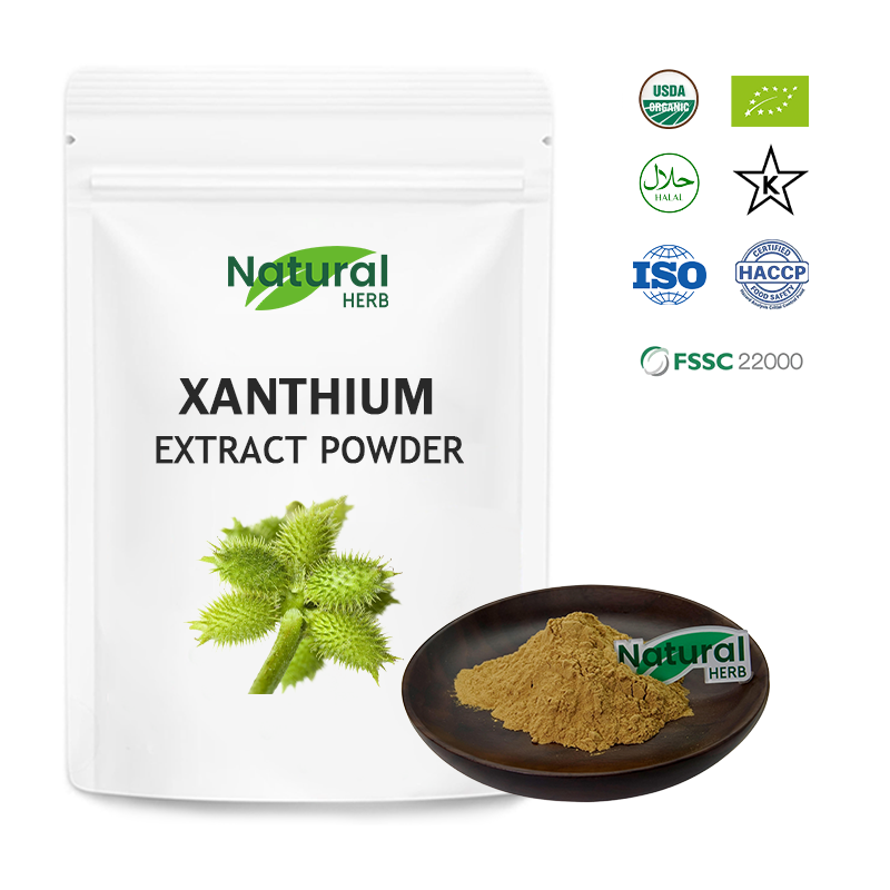 Xanthium Sibiricum Extract Manufacturer - Wholesale Natural Food Grade Wild Cultivated
