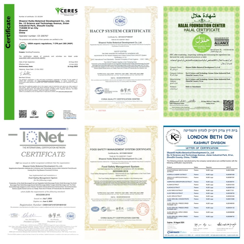 Kale Juice Powder Supplier - Factory Supply Food Grade Organic Vegetable Powder