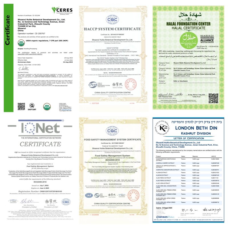 Centella Asiatica Extract Supplier - Cosmetic Grade Skin Care Asiaticosides