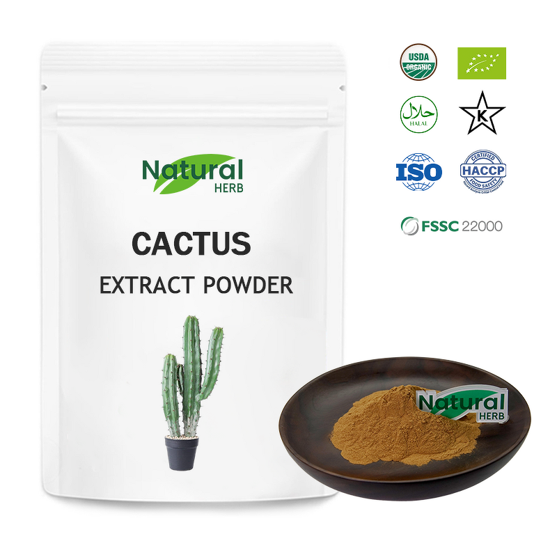 Cactus Extract Powder Factory - Food Grade High Purity All-Natural Wild