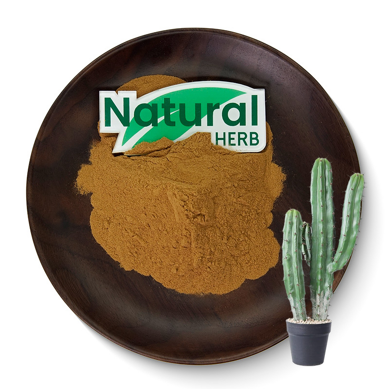 Cactus Extract Powder Factory - Food Grade High Purity All-Natural Wild
