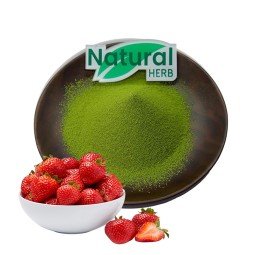 Matcha Green Tea Powder Manufacturer - Organic Ceremonial Grade Strawberry Flavored