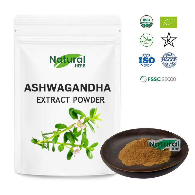 Bacopa Extract Supplier - Food Grade Bacopa Glycoside Powder HPLC Flavonoids