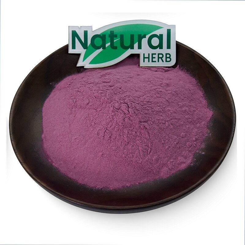 Cranberry Powder Manufacturer - Wholesale Bulk 100% Natural Concentrate Juice