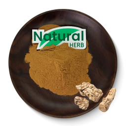 Angelica Extract Manufacturer - Best Selling Chinese Herbal Ferulic Acid Powder