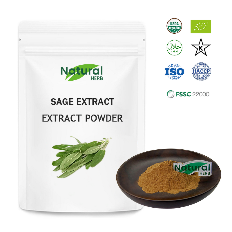 Sage Leaf Extract Supplier - Food Grade 100% Pure Sage Powder Carnosic Acid