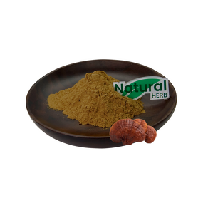 Ganoderma Extract Powder Factory - High Quality Organic Ganoderma Mushroom Extract