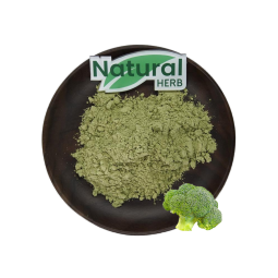 Broccoli Sprout Powder Supplier - Organic Wild-Cultivated Food Grade Vegetable Extract